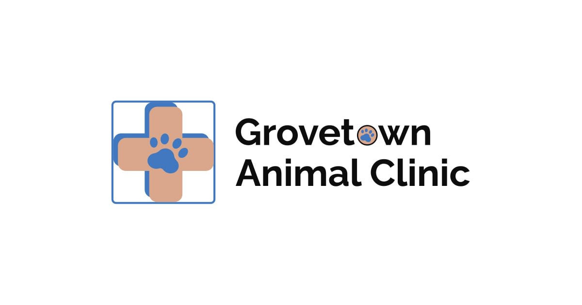 Home Grovetown Animal Clinic